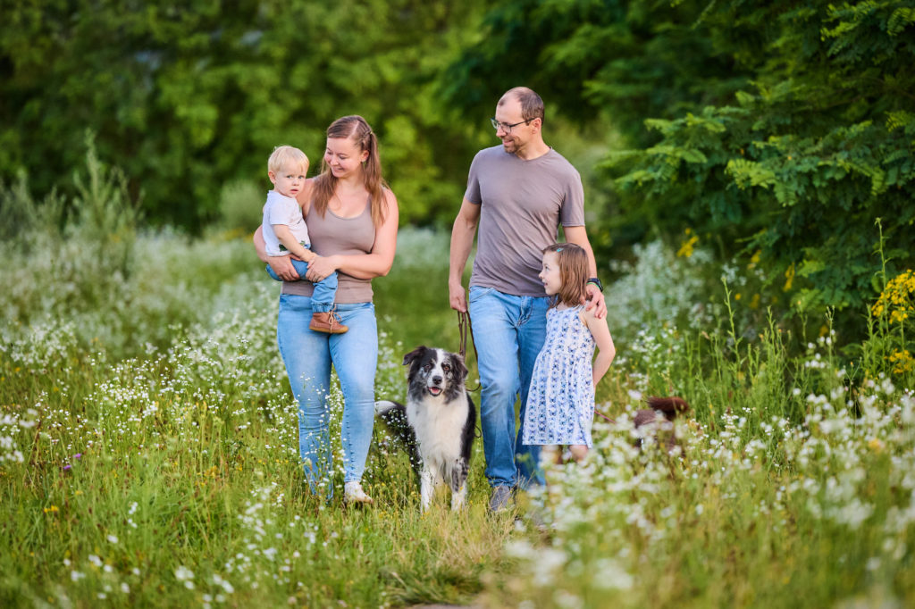 Eine Familie läuft bei Sonnenuntergang mit ihren zwei Hunden über eine Blumenwiese