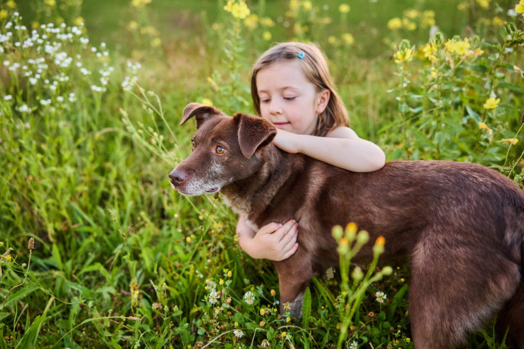 Ein Kind mit ihrer Border Collie Hündin in einer Blumenwiese