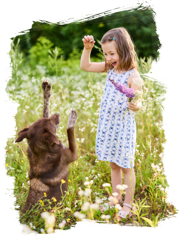 Ein Kind mit ihrer Border Collie Hündin in einer Blumenwiese