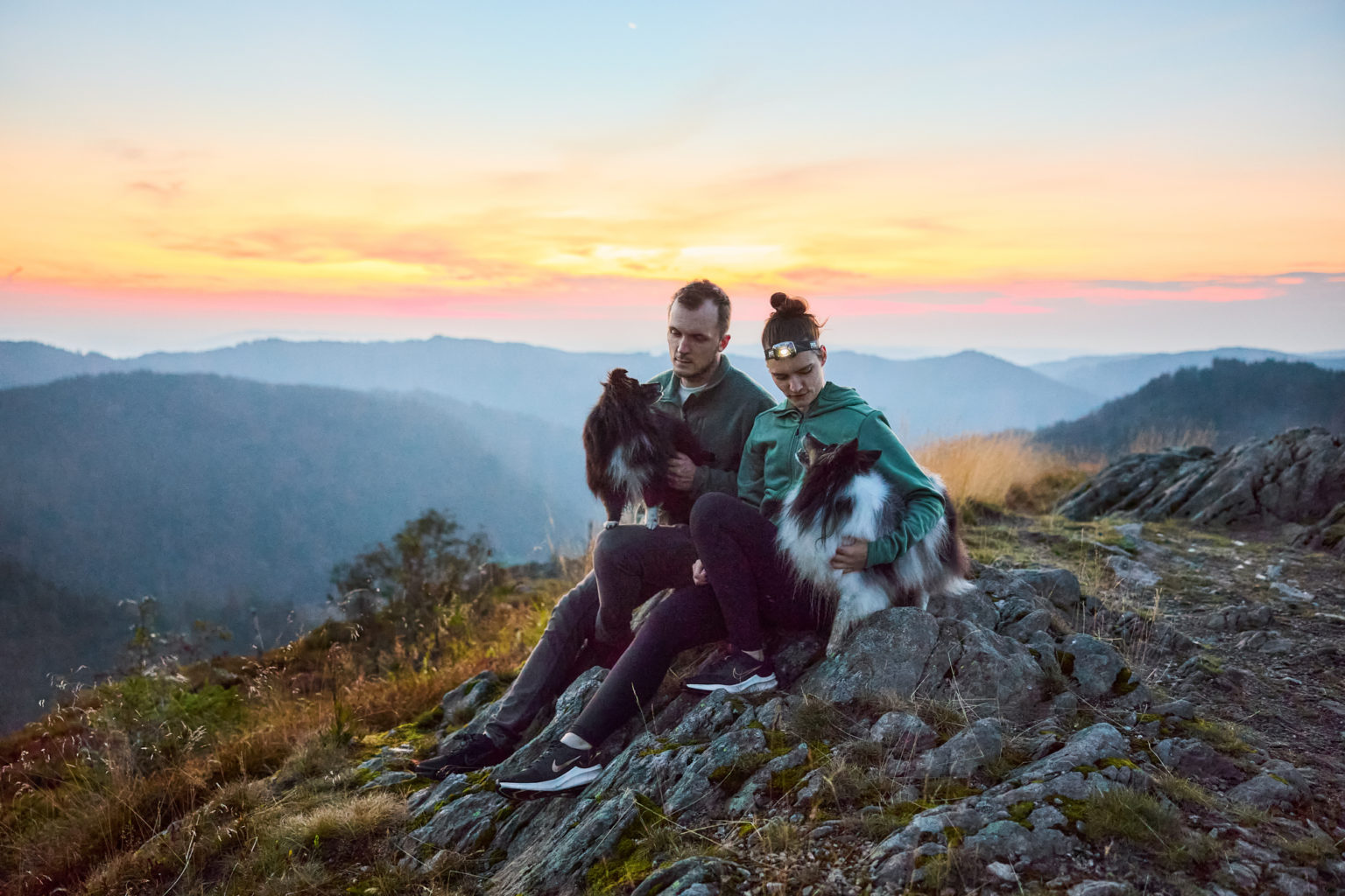 Zwei Shetland Sheepdogs mit ihren Hundebesitzern auf dem Herzogenhorn im Schwarzwald bei Sonnenaufgang