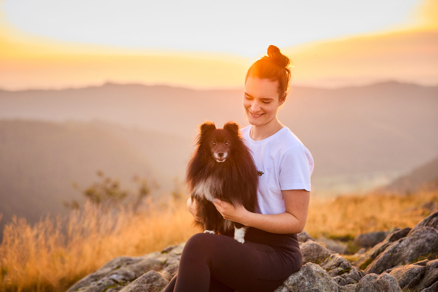 Ein Shetland Sheepdog mit Hundebesitzerin auf dem Herzogenhorn im Schwarzwald bei Sonnenaufgang