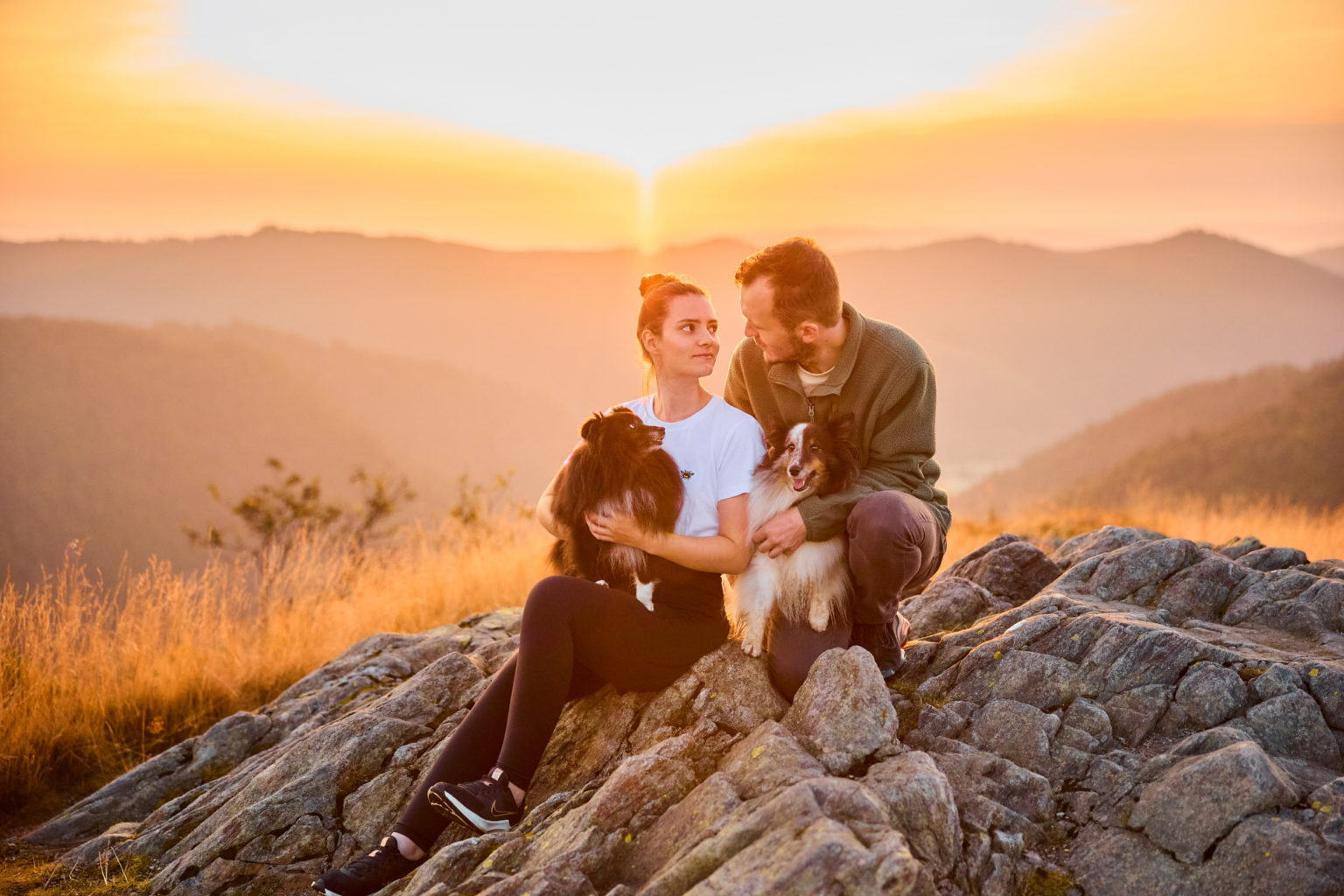 Zwei Shetland Sheepdogs mit ihren Hundebesitzern auf dem Herzogenhorn im Schwarzwald bei Sonnenaufgang