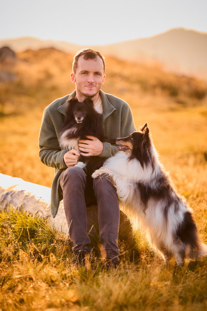 Zwei Shetland Sheepdogs mit ihrem Hundebesitzer auf dem Herzogenhorn im Schwarzwald bei Sonnenaufgang mit Blick auf den Feldberg