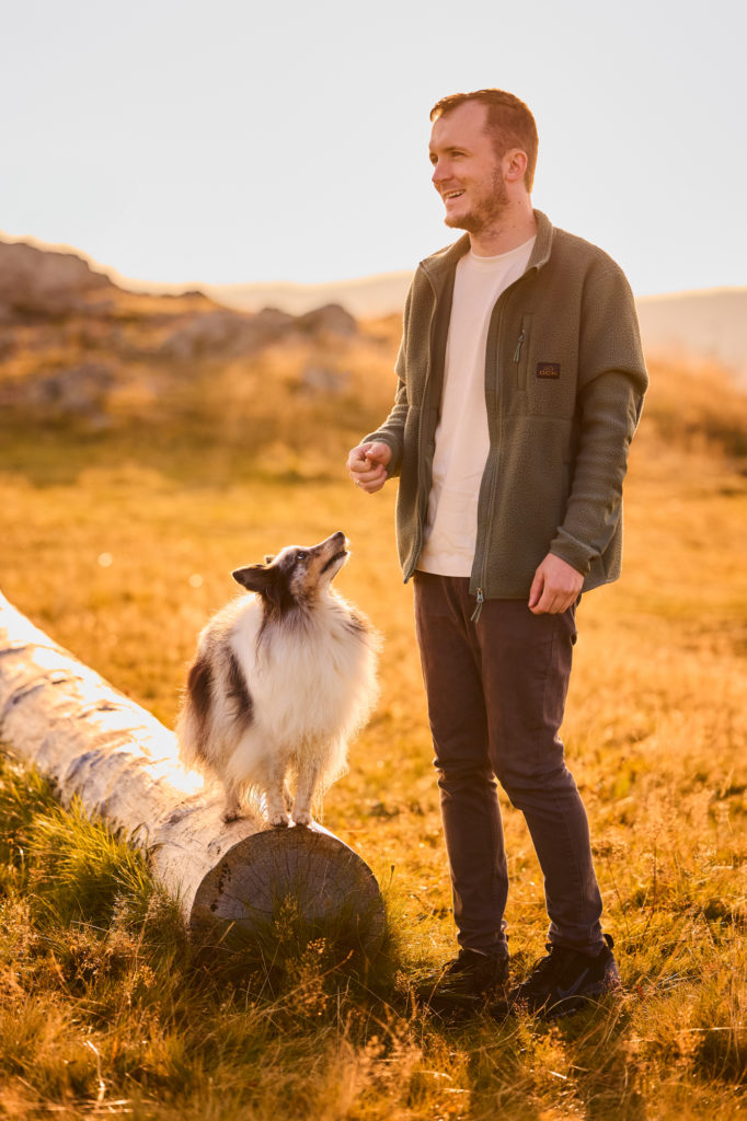 Ein Shetland Sheepdogs mit seinem Hundebesitzer auf dem Herzogenhorn im Schwarzwald bei Sonnenaufgang mit Blick auf den Feldberg