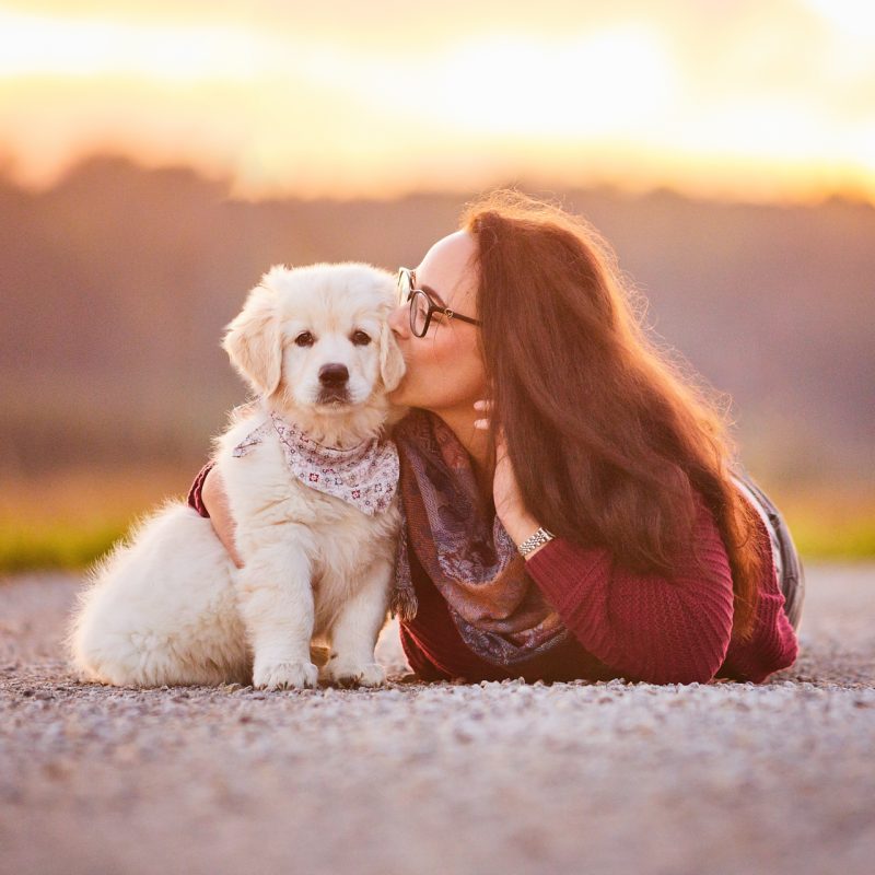 008-Raphaela-Schiller-Hundefotografie-Hunde-Fotoshooting-Golden-Restriever-Welpe-Rheinfelden-Basel-Loerrach-Tierfotograf-Schweiz