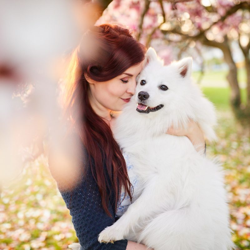 08-Raphaela-Schiller-Hundefotografie-Japan-Spitz-Fotoshooting-Tierfotografie-Magnolie-Rheinfelden-Lörrach-Basel-Freiburg-Zürich