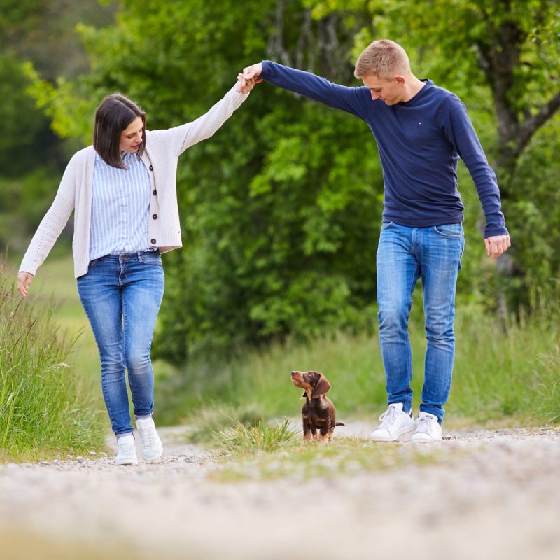 12-Raphaela-Schiller-Hundefotografie-Dackel-Zwergrauhaardackel-Welpe-Fotoshooting-Lörrach-Basel-Freiburg-Zürich