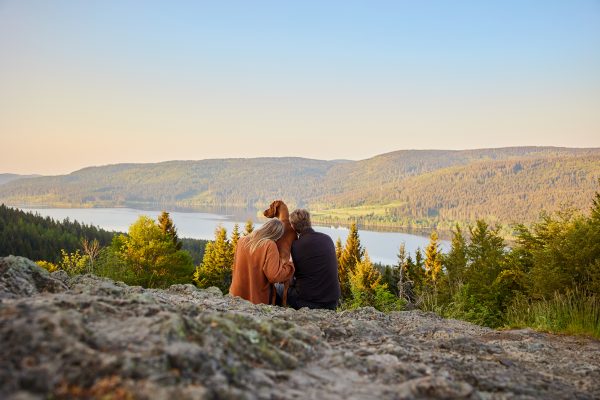 Raphaela-Schiller-Hundefotografie-Schwarzwald-Schluchsee-Hunde-Fotoshooting-Wanderung-Magyar-Vizsla-10