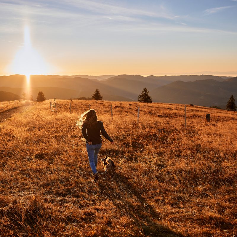 Raphaela-Schiller-Hundefotografie-Schwarzwald-Tierfotografie